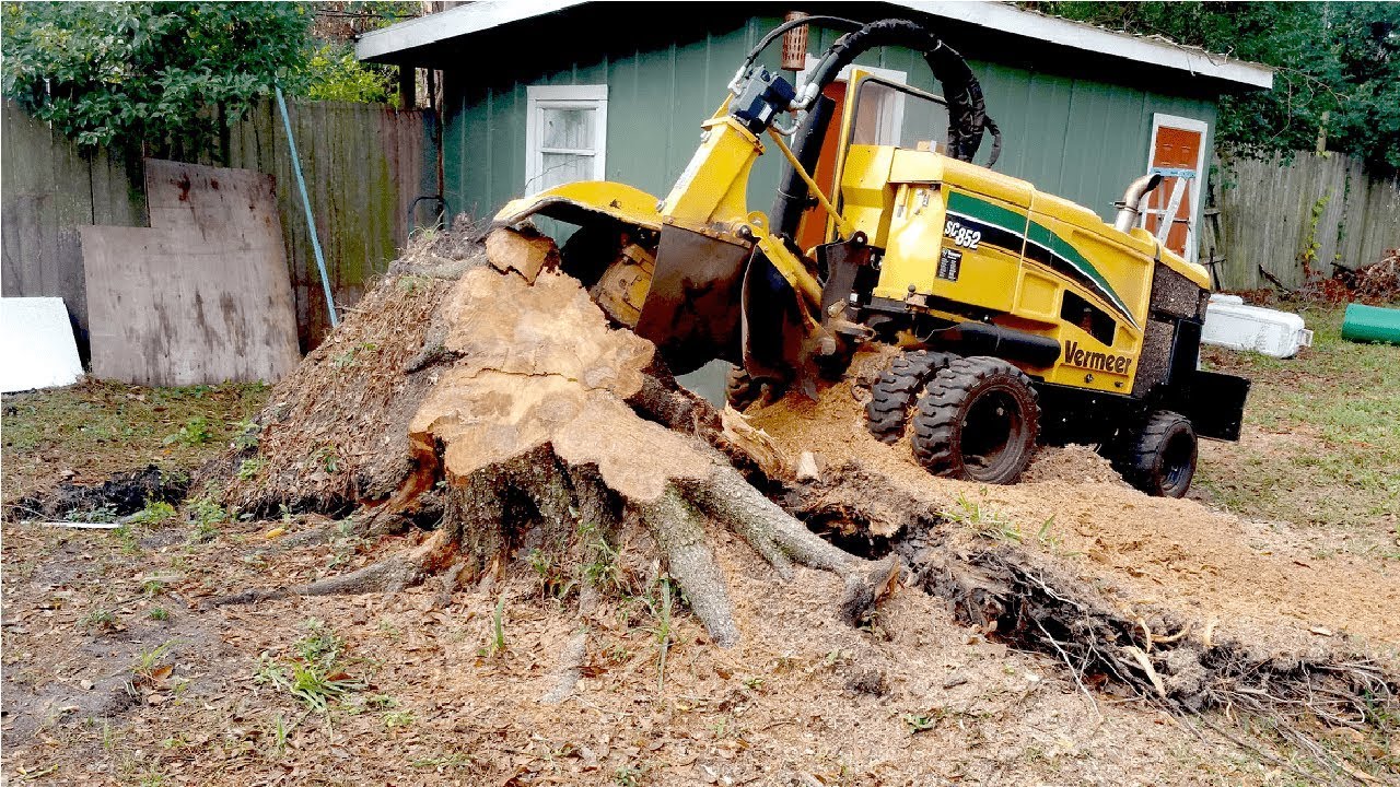 Why And How To Hire A Company For Stump Grinding Services In Sydney – Wiki  Info Feeds Home