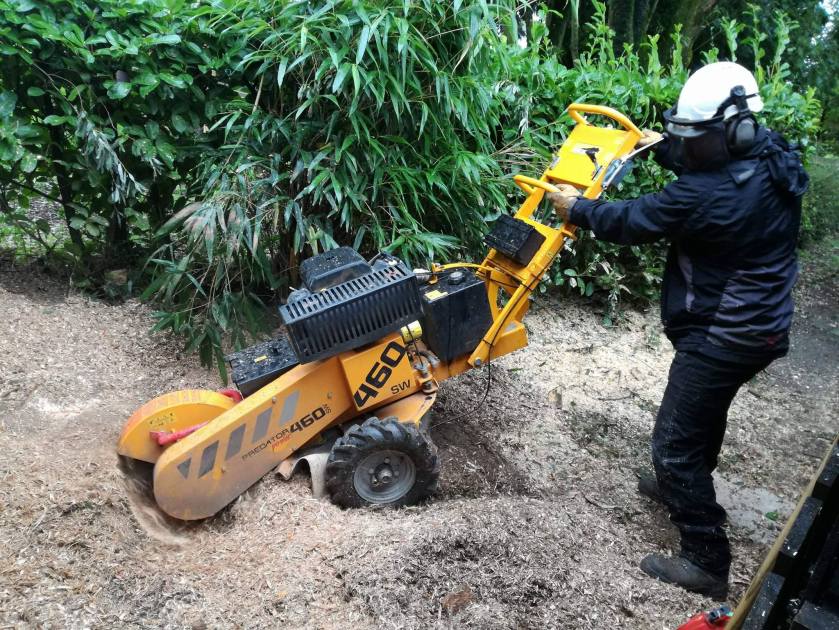 stump-grinding-services-in-sydney